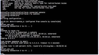 Routing Loops In The Wild:  CCNA And CCNP ROUTE Video Lab