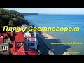 Светлогорск