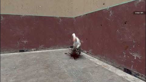 Garrysmod: Awesome Slow-Motion Effects