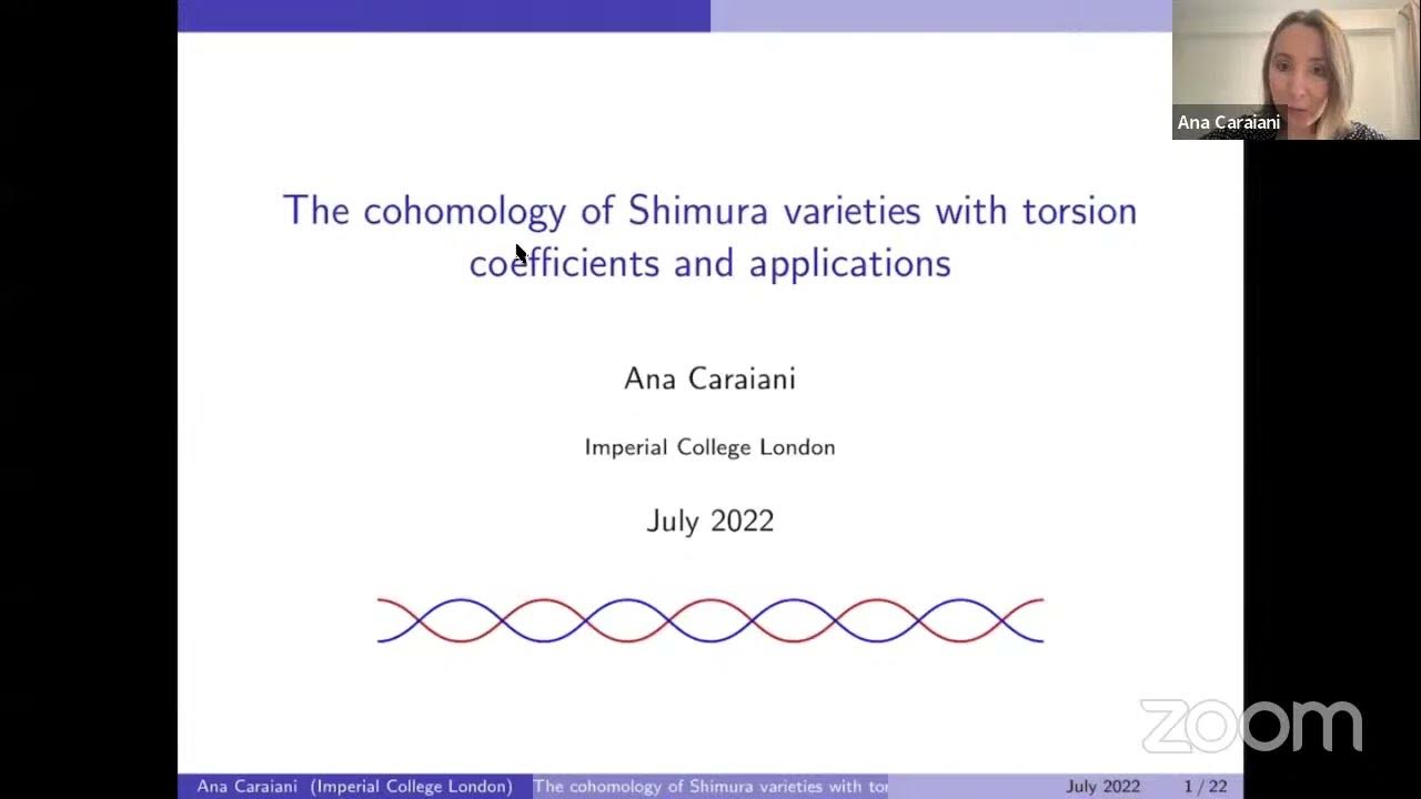 Ana Caraiani The cohomology of Shimura varieties with torsion