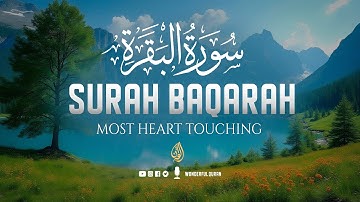 Surah Baqarah Full سورة البقره | Ultimate Relaxing Most Beautiful Heart Calming Quran | WQ