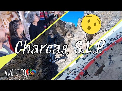 Viajecito a Charcas, S.L.P.  ¡Cañón de Lajas, Museo y Jaripeo!