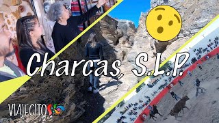Viajecito a Charcas, S.L.P.  ¡Cañón de Lajas, Museo y Jaripeo!