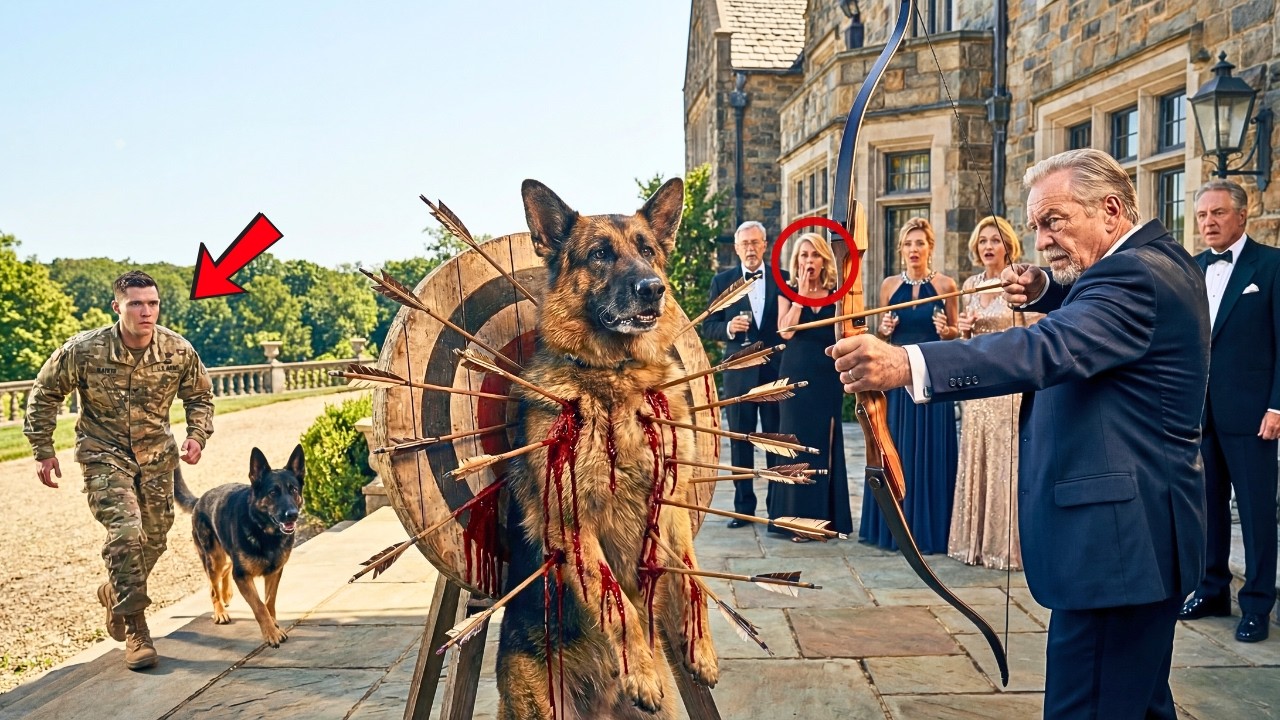A Wealthy Man Used a K9 as Target Practice—Unaware a Navy SEAL and His Dog Heard the Cry!