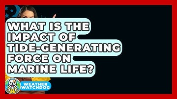 What Is The Impact Of Tide-generating Force On Marine Life? - Weather Watchdog