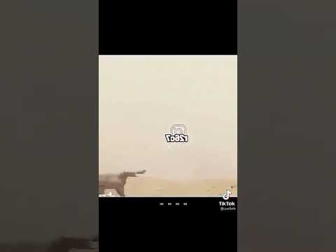 نقزا و لابلخيال