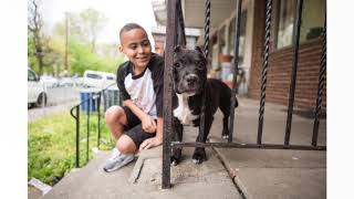 Ramos Family - Emancipet Philadelphia