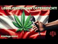 Cannabis legalisierung in sterreich das sagen die sterreicher  stgo 1