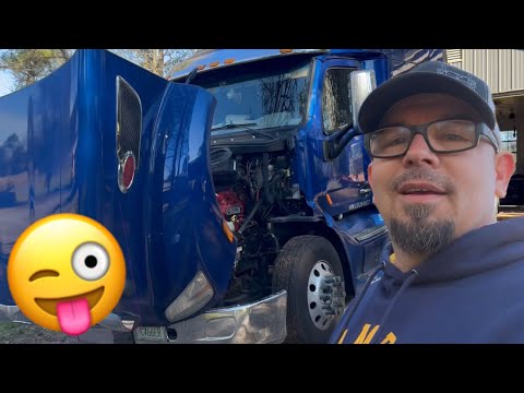 Busting Balls!! To Funny To Not Watch 😂😂