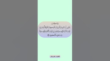 سورة آل عمران بصوت القارئ #علي_جابر