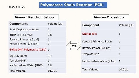 How to Set Up a PCR Reaction | Full PCR Calculation & Protocol Guide!