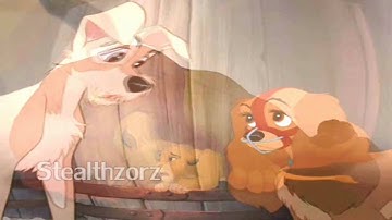 Let Go MEP Part 10 HD