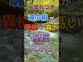 【別格】生まれつき魂の格が異様に高い星座TOP5