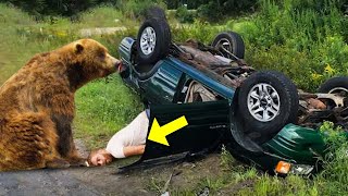 This Man Had An LifeThreatening Accident, Then A Bear Saw Him And Did The Unthinkable!