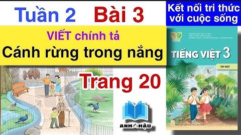 Tiếng Việt Lớp 3 Tuần 2 Bài 3 | VIẾT - CÁNH RỪNG TRONG NẮNG | Trang 20 | Kết nối tri thức với cuộc