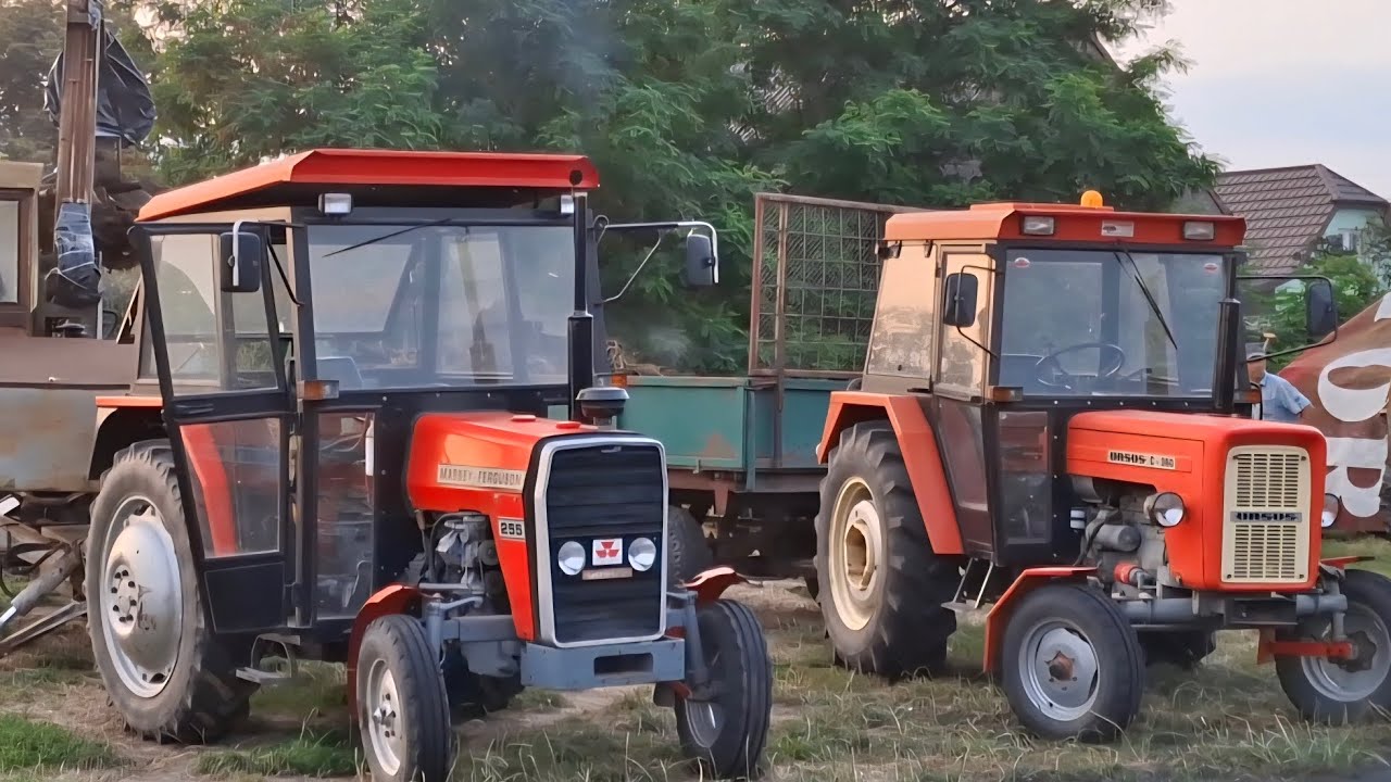 🇵🇱Obornik 2025🇵🇱 URSUS C-360 || MF255 || 