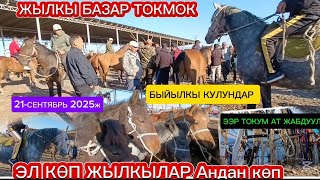 картинка: ЖЫЛКЫ БАЗАР ТОКМОК МАЛ БАЗАР 21-СЕНТЯБРЬ 2025ж Аттар, БЭЭЛЕР, БЫЙЫЛКЫ КУЛУНДАР 