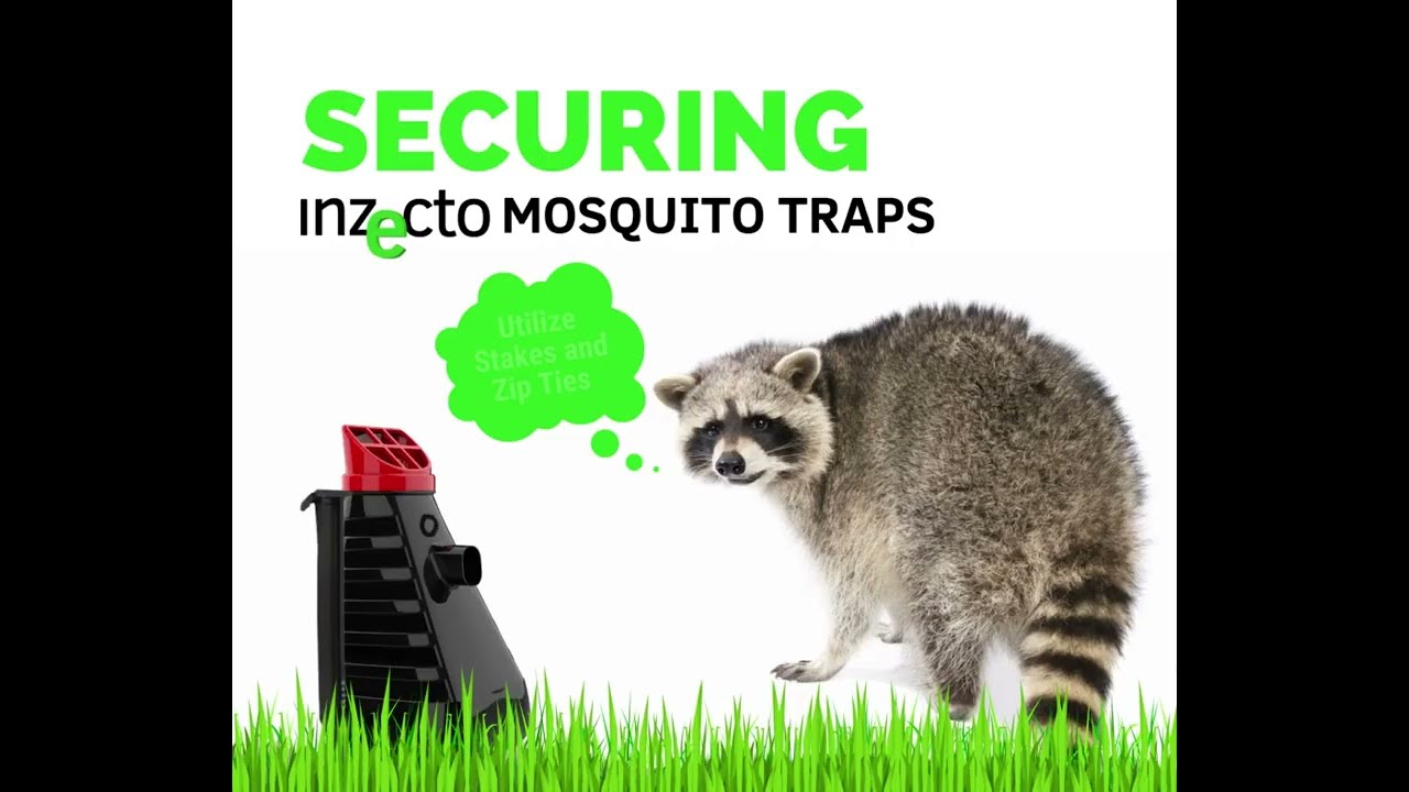 Securing INZECTO Mosquito Traps with Zip Ties