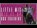 Little mix  mix it up dog training