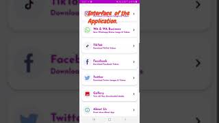 Interior of  the A1 Video Downloader Application. screenshot 4