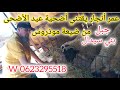 عمر أنجار يقتني أضحية عيد الأضحى من ضيعة موذروس ببني سيدال الجبل ويختار النوع الأجود أكلموس عمر أنجار يقتني أضحية عيد الأضحى من ضيعة موذروس ببني سيدال الجبل ويختار النوع الأجود أكلموس