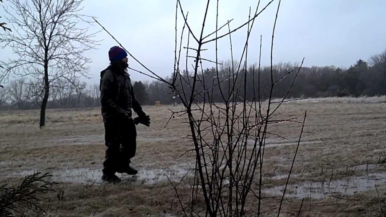 Disc Golfing in a February Rain Storm YouTube
