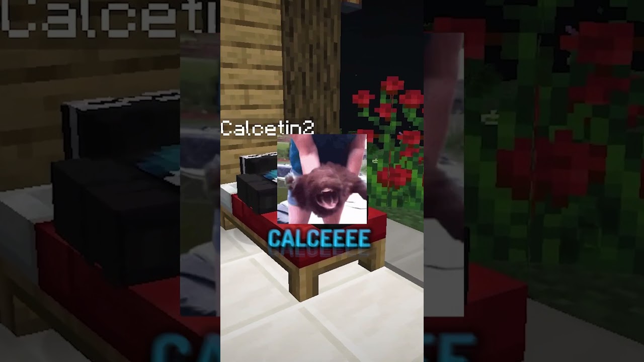 Calce no deja dormir a Xiaro 😪💤 #shorts #minecraft