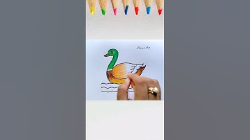 How to Draw a Duck|| Duck Drawing for Beginners|| Duck Drawing
