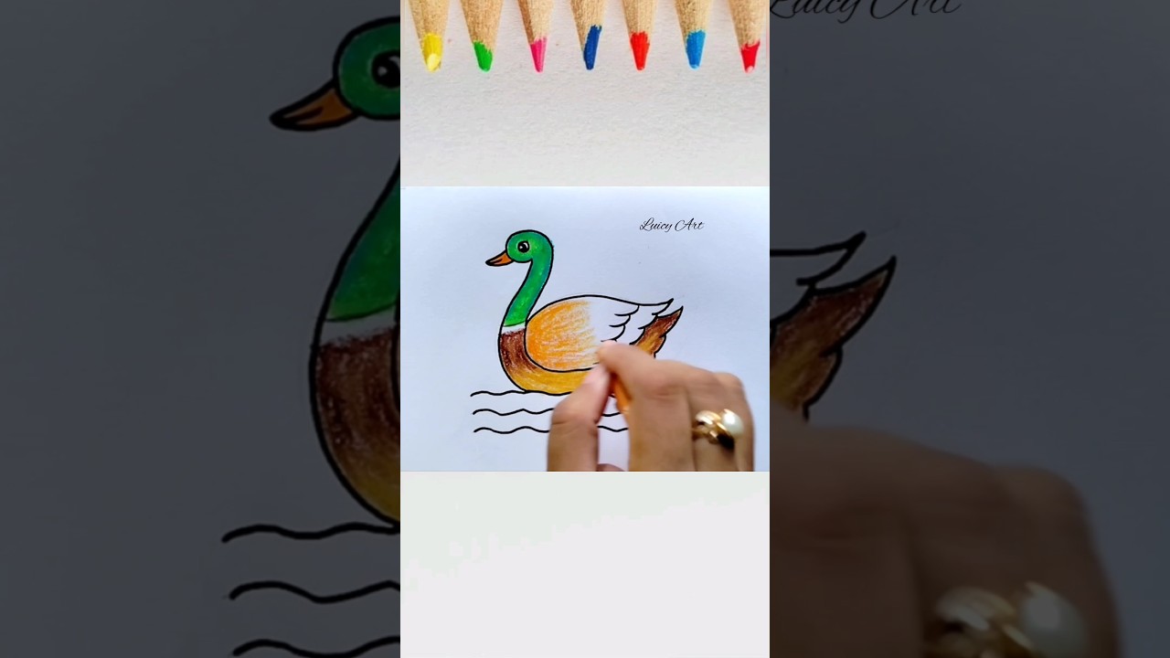 How to Draw a Duck|| Duck Drawing for Beginners|| Duck Drawing