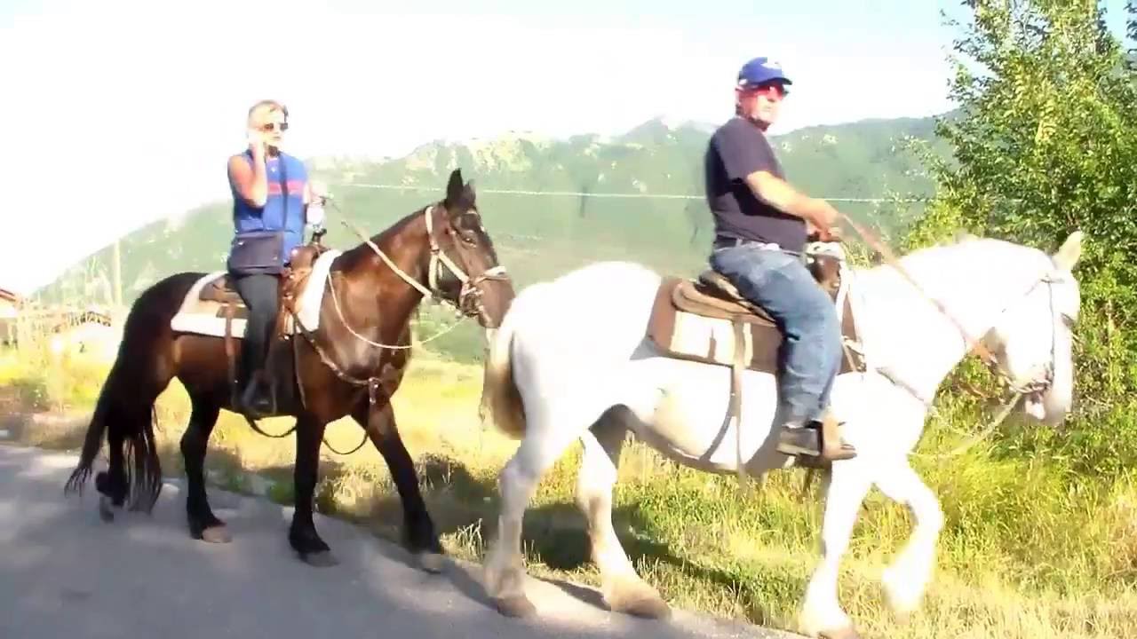 Il Piccolo Ranch Irpinia A Cavallo Youtube