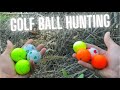 Golf Ball Hunting in Golf Course Bushes