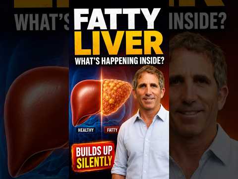 Fatty Liver: What’s Really Happening Inside
