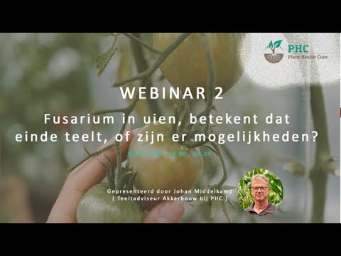 Fusarium in uien | Einde teelt of zijn er mogelijkheden?