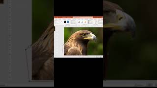 Remove background in powerpoint #shorts #powerpoint #skill