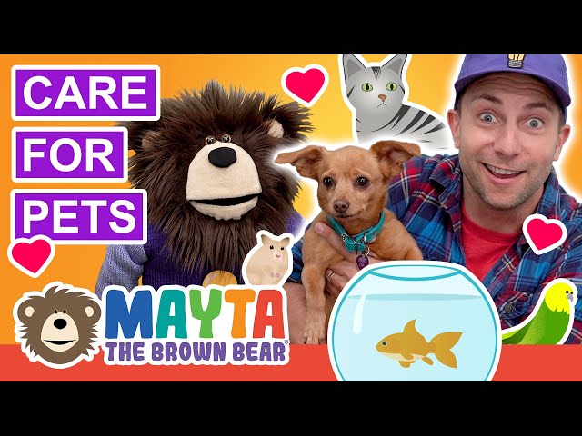 Teaching Kids to Care for Pets | Videos for Toddlers class=