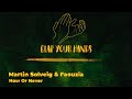 Martin Solveig Faouzia Now Or Never mp3
