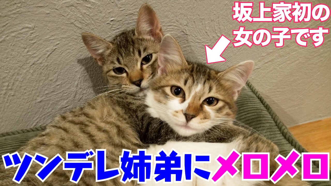 坂上 家