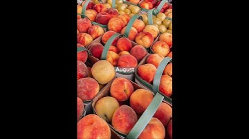 your aesthetic based on your favorite Taylor Swift song #15august #taylorswift #viral #fyp #folklore