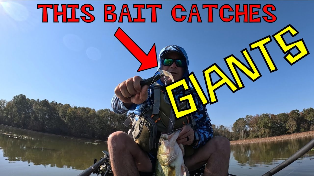 This Bait Catches Giant Bass * Fall Bass Fishing YouTube