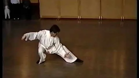 Master Kai Ying Tung performing Tai Chi Chuan trad...