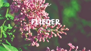 Ext Sleep - Flieder (Music Video)