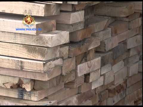 შსს-მ ხე-ბუჩქნარის უკანონოდ გაჩეხვის ბრალდებით ერთი პირი დააკავა