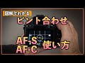 【初心者カメラ講座】図解でわかるAF-SとAF-Cの違いと使い方