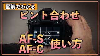 【初心者カメラ講座】図解でわかるAF-SとAF-Cの違いと使い方