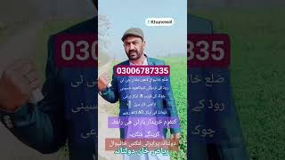 #propertyforsale #khanewal #kabirwala #vairalvideo #trend #everyone #songs #life #love #active