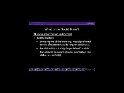 chapter 1 - intro to social neuroscience