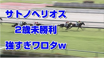 サトノヘリオス Youtube