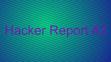 Hacker Report #3 DerpyChick476 Fly Hacks