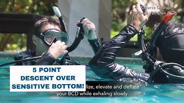 5 Point Descent Over a Sensitive Bottom • Skill PADI Open Water Diver Course Scuba Diving Tips
