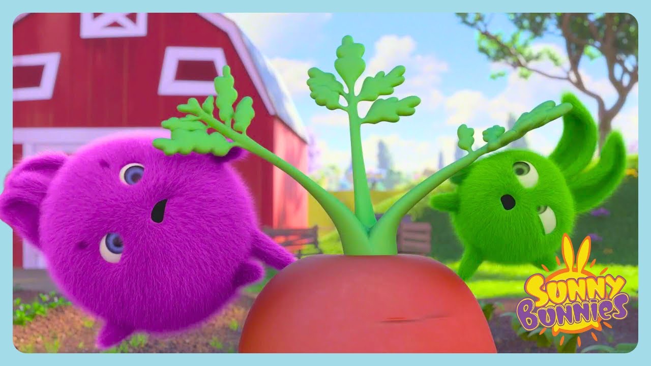 Sunny Bunnies - La zanahoria GIGANTE | Dibujos animados para niños pequeños | WildBrain